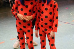 IMG_0008_N