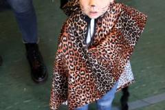 IMG_0015_N