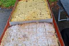 IMG-20250803-WA0003