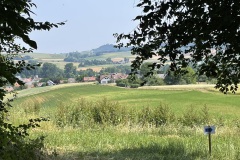 IMG_1598