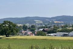 IMG_1600