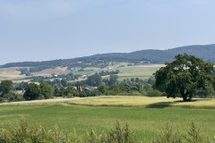 IMG_1601