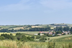IMG_1603