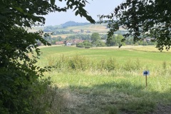 IMG_1605